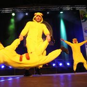 Faschingssitzung 2017