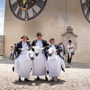 Narrisch Guat Sommerkabarett 2017