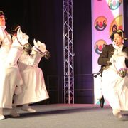 Faschingssitzung 2017